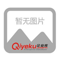 美國Raytek雷泰紅外測溫儀 MX2SZ 低溫型